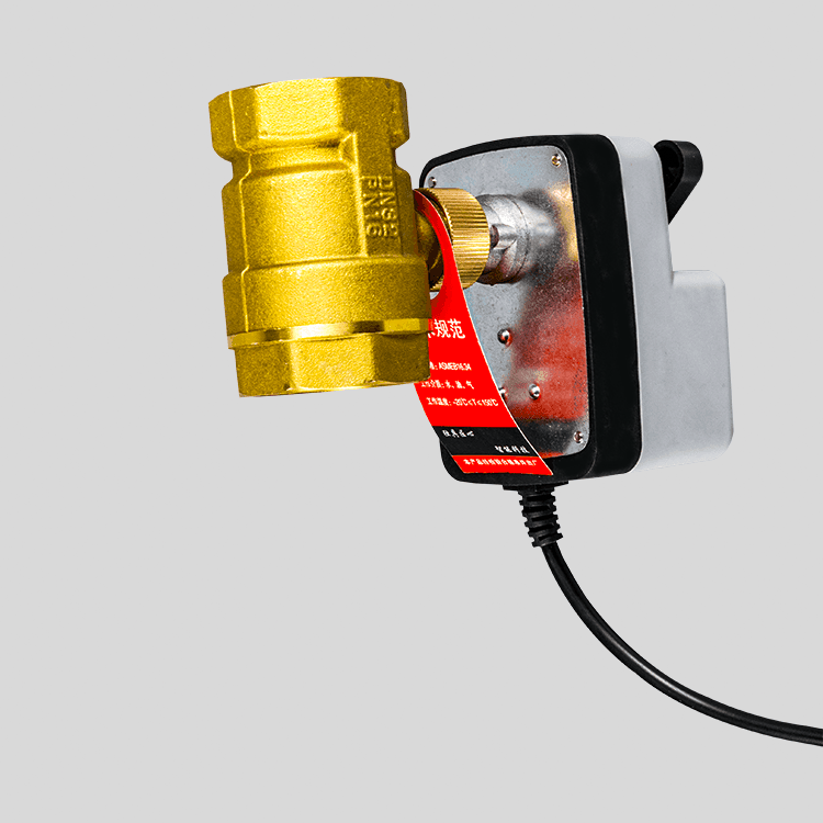 Dy-303 便攜式手自一體電動(dòng)球閥 220V
