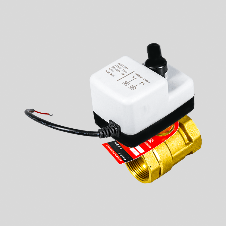Dy-303 便攜式手自一體電動(dòng)球閥 220V